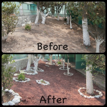 The second garden we completed at the school